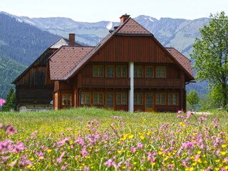 wiese_haus