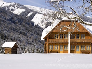 winter_schaffer_02