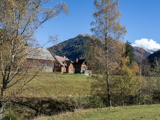 MIV_3818