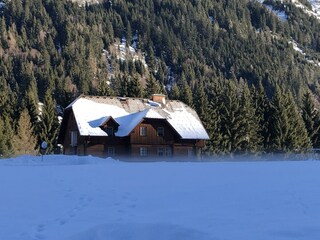 IMG_4379