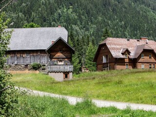 MIV_6448