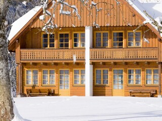 Winter_schaffer_03_durch_baeume