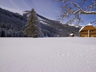 Winter_schaffer_04