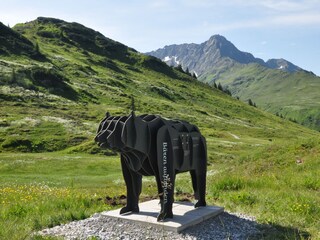 Vakantieappartement Wald am Arlberg Omgeving 14