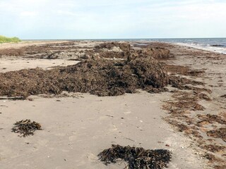 Vakantiehuis Læsø  29