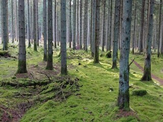 Vakantiehuis Vaeggerløse Buitenaudio-opname 2