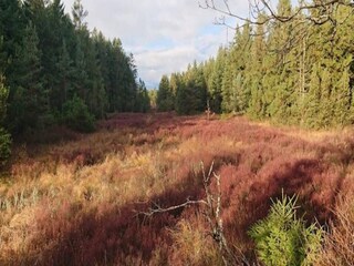 Maison de vacances Vaeggerløse Enregistrement extérieur 8