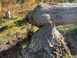 Maison de vacances Vaeggerløse Enregistrement extérieur 7