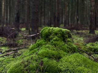 Vakantiehuis Vaeggerløse Buitenaudio-opname 5