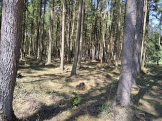 Maison de vacances Vaeggerløse Enregistrement extérieur 11