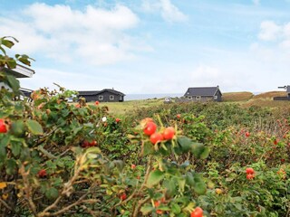 Ferienhaus Løkken  2