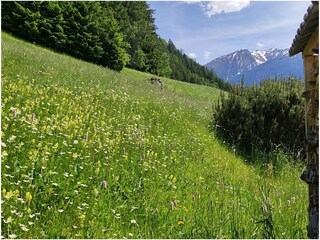 Appartamento per vacanze Jerzens Registrazione all'aperto 6