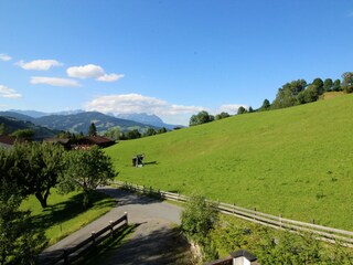 Holiday apartment Kirchberg in Tirol  53
