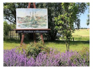 Casa per le vacanze Greetsiel Ambiente 116