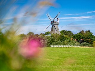 Casa per le vacanze Greetsiel Registrazione all'aperto 59