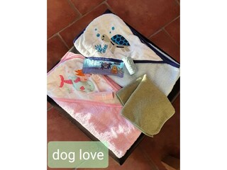 Casa per le vacanze Buići Caratteristiche 40