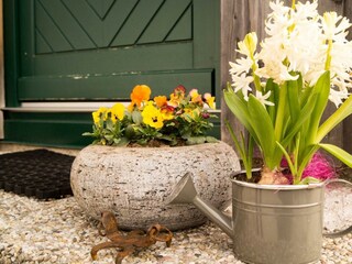 Appartement Altaussee Buitenaudio-opname 3