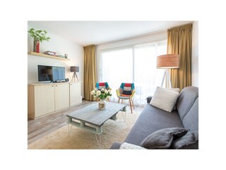 Appartamento Hollum Caratteristiche 1