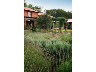 Cottage Skeerpoort Outdoor Recording 2