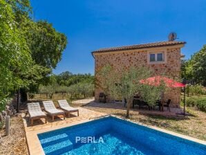 Encantadora villa de piedra ALYSSA con piscina cerca de la playa de arena - Vrbnik - image1