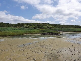 Ferienhaus Jægerspris  46