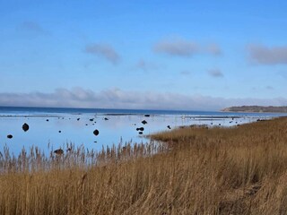 Casa de vacaciones Jægerspris  11