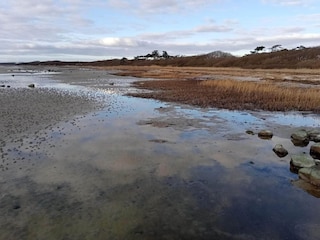Maison de vacances Jægerspris  20