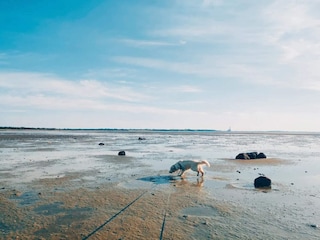 Ferienhaus Jægerspris  46