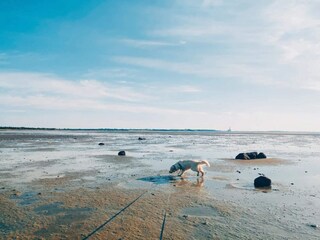 Holiday house Jægerspris  23