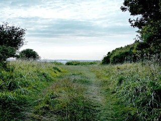 Ferienhaus Jægerspris  21