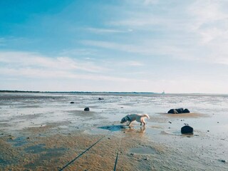 Vakantiehuis Jægerspris  44