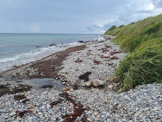 Ferienhaus Jægerspris  49