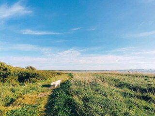 Casa per le vacanze Jægerspris  48