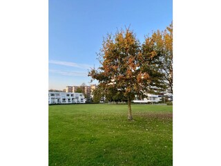 Hauptansicht