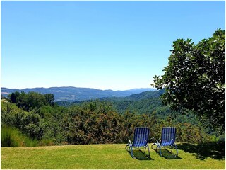 Südausrichtung des Hauses und Gartens