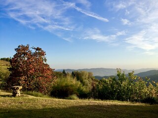 Holiday apartment Mango Outdoor Recording 6
