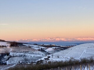 Holiday apartment Mango Environment 22