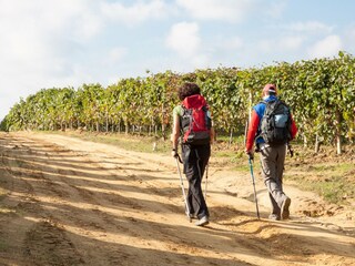 walking und trecking in den Weinbergen