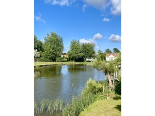 Casa per le vacanze Kamperland Registrazione all'aperto 4