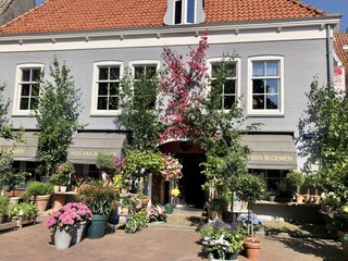 Casa per le vacanze Kamperland Ambiente 33