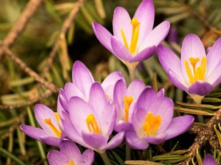 Appartement Altaussee Enregistrement extérieur 9