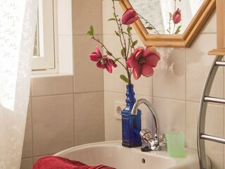 Appartement Altaussee Kenmerken 18