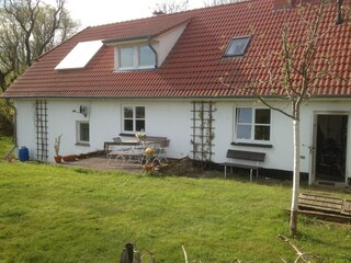 View from the garden