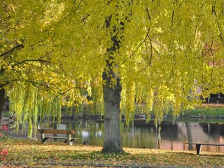Ferienwohnung Petersdorf Außenaufnahme 21