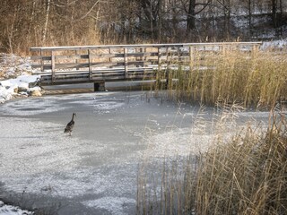 Appartamento Natz Ambiente 38