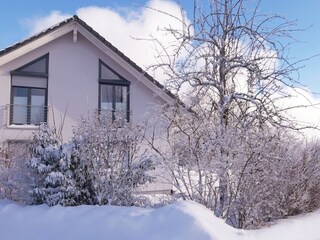 Silva Nigra im Winter