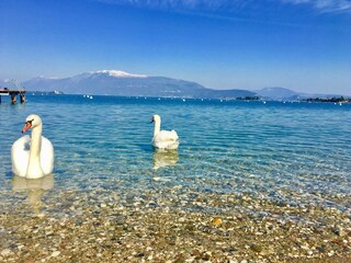 Villa Manerba del Garda Ambiente 32