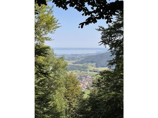 Wanderwege gleich  hinterm Haus (z.B. Roßalm)