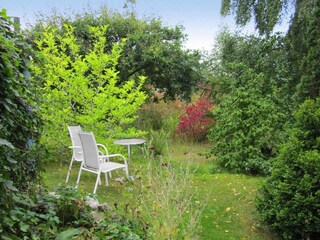 Vakantiehuis Kivik  11