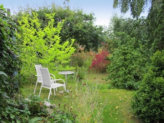 Vakantiehuis Kivik  19